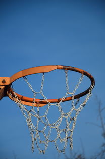 米兰体育登录-NBA球员体能训练计划设计与效果评估，nba球员的体能训练