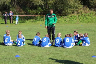 米兰体育网址-中国篮球教练员战术创新能力培养研究，篮球教练员职业素养的三大核心