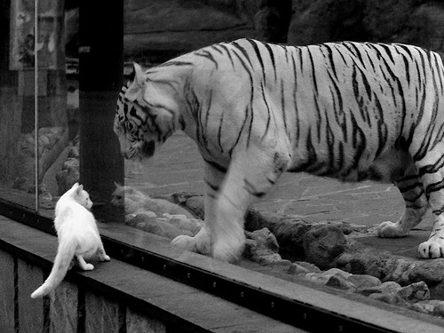 米兰体育app下载-中国足球边路配合打法模型，足球边路进攻的战术配合基本方法